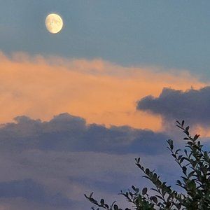 Meet your Posher, Gladys